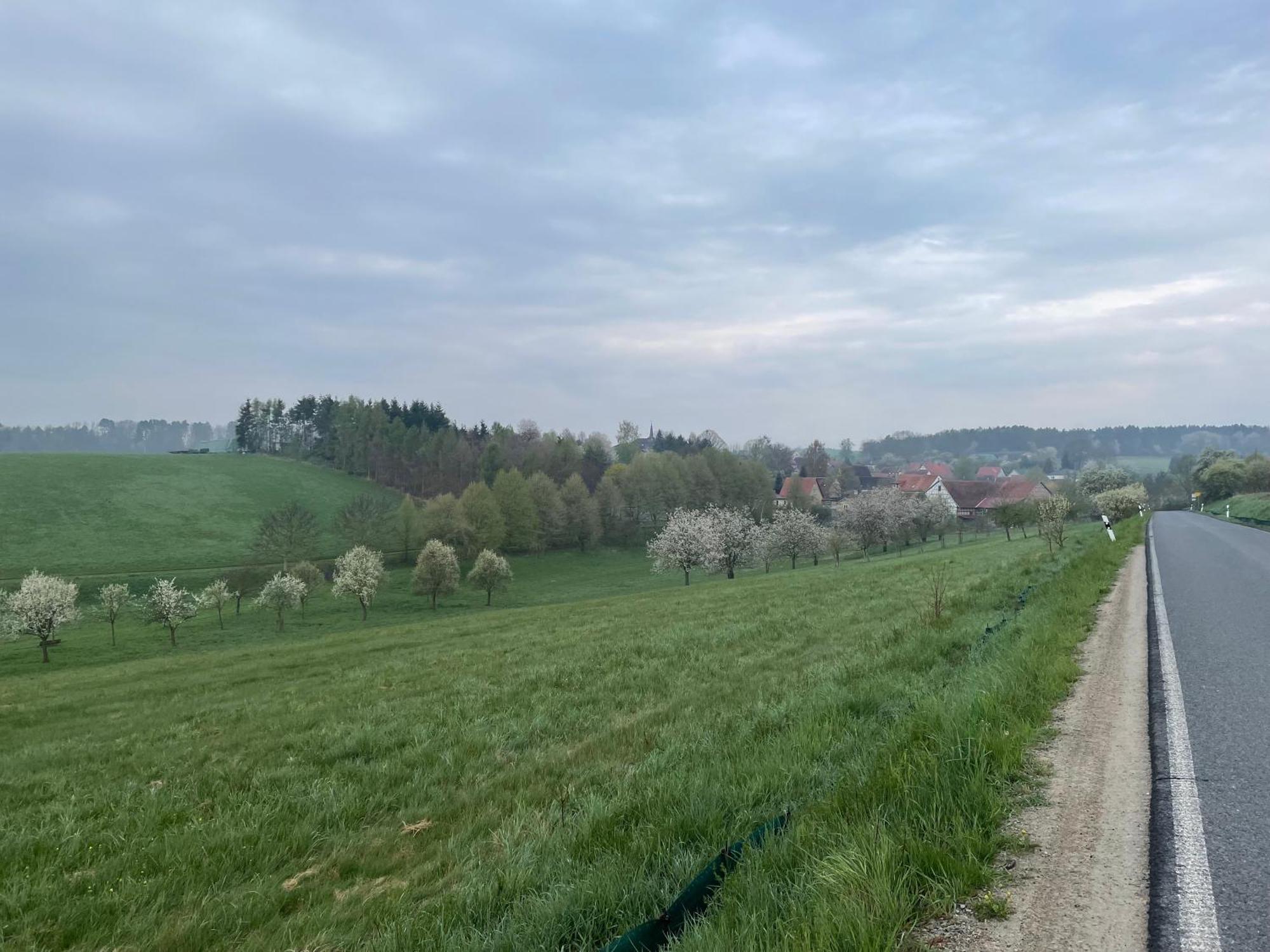 Ferienhofwaldesel Rippersroda