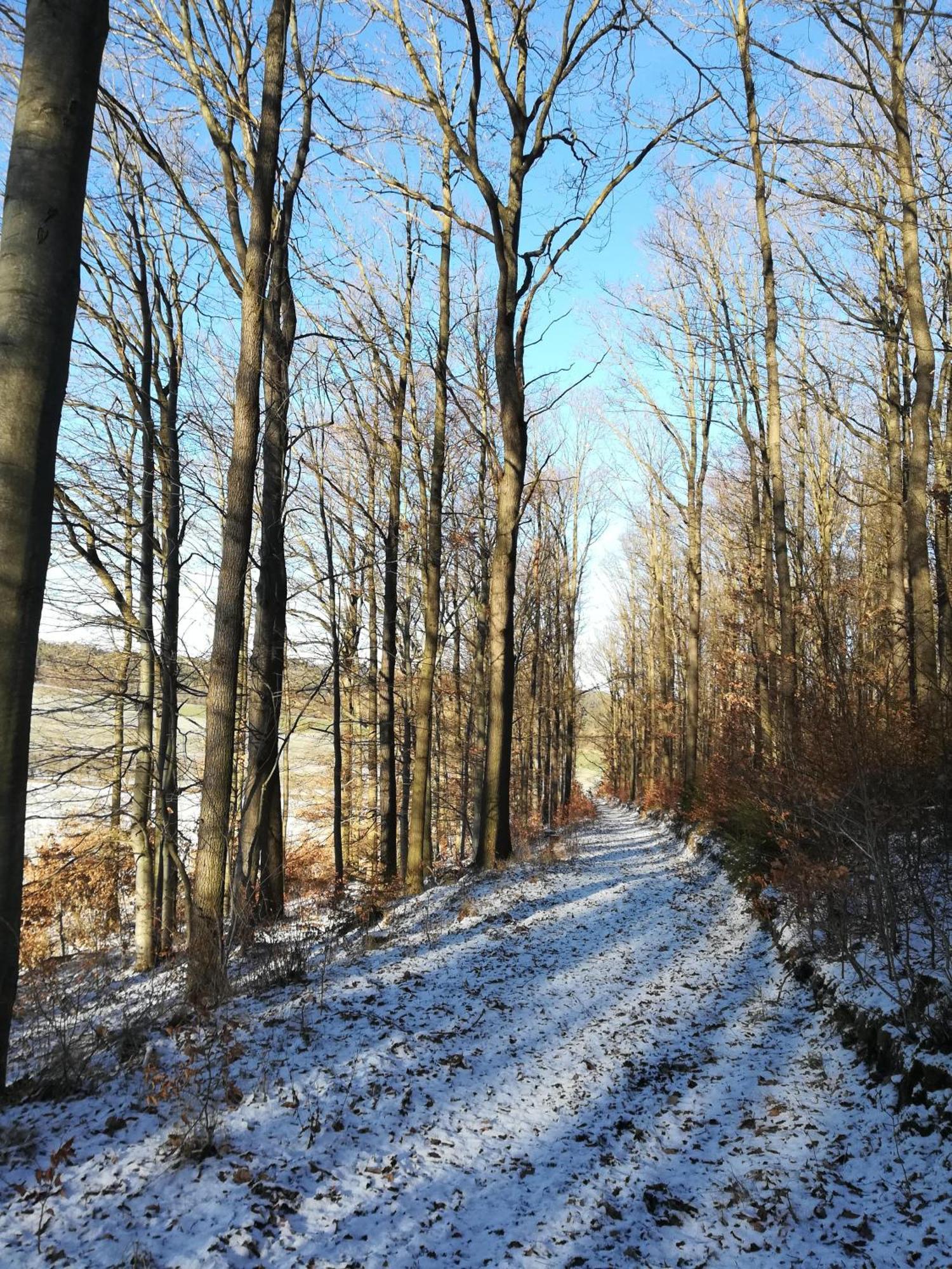 Ferienhof